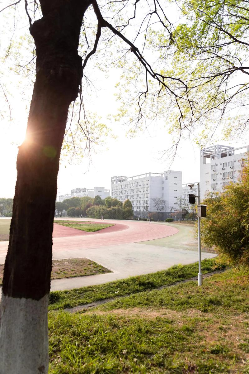 2026年学校操场建设新规解读:从塑胶跑道国标到多功能运动场,学历提升新场景